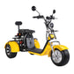 3 Wheel Electric Scooter Fat Tire Citycoco Trike 60V 40AH EEC COC