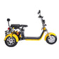 3 Wheel Electric Scooter Fat Tire Citycoco Trike 60V 40AH EEC COC
