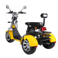 3 Wheel Electric Scooter Fat Tire Citycoco Trike 60V 40AH EEC COC