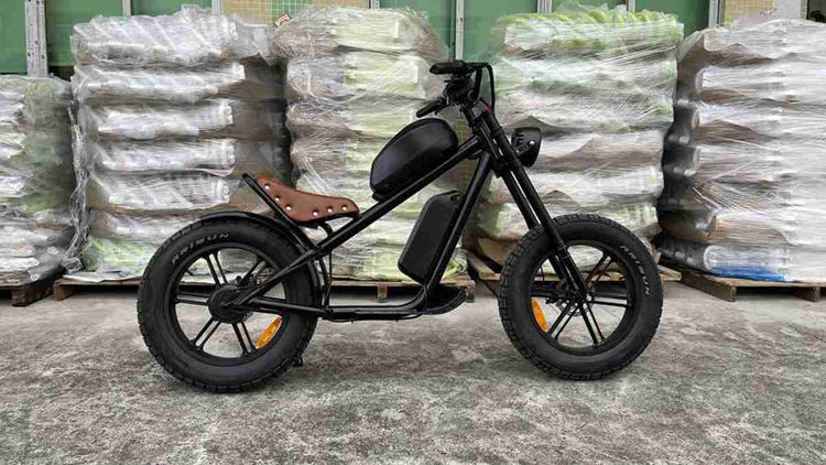 4 wheel electric bike for adults OEM