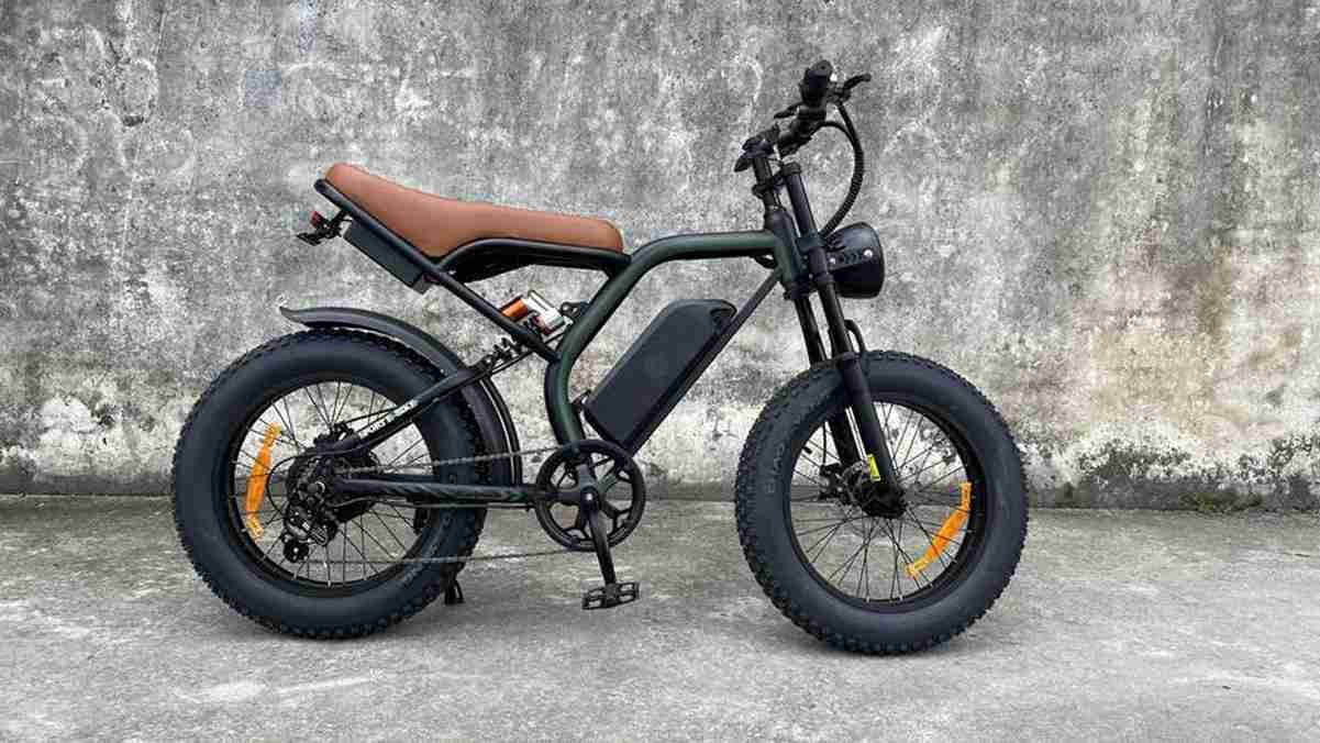 750w Fat Bike OEM