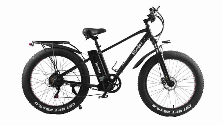 Adult Electric Folding Bike OEM