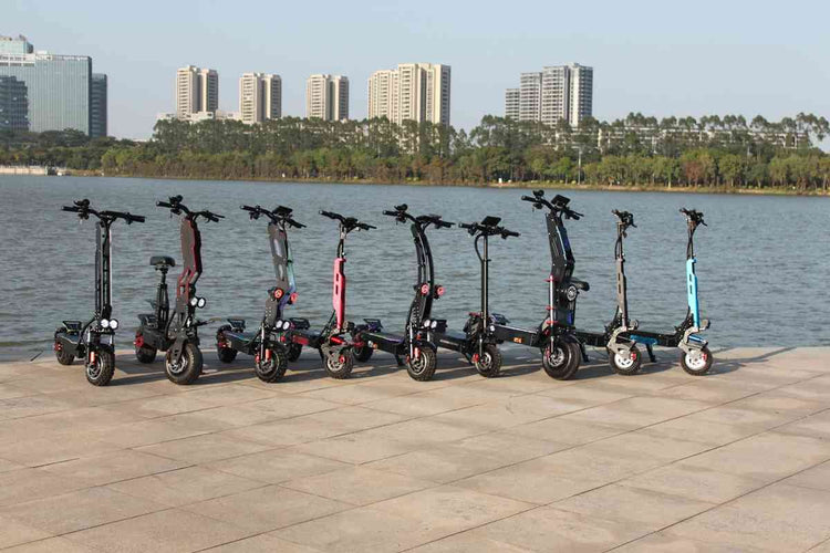 Adult Electric Scooter 1000w OEM