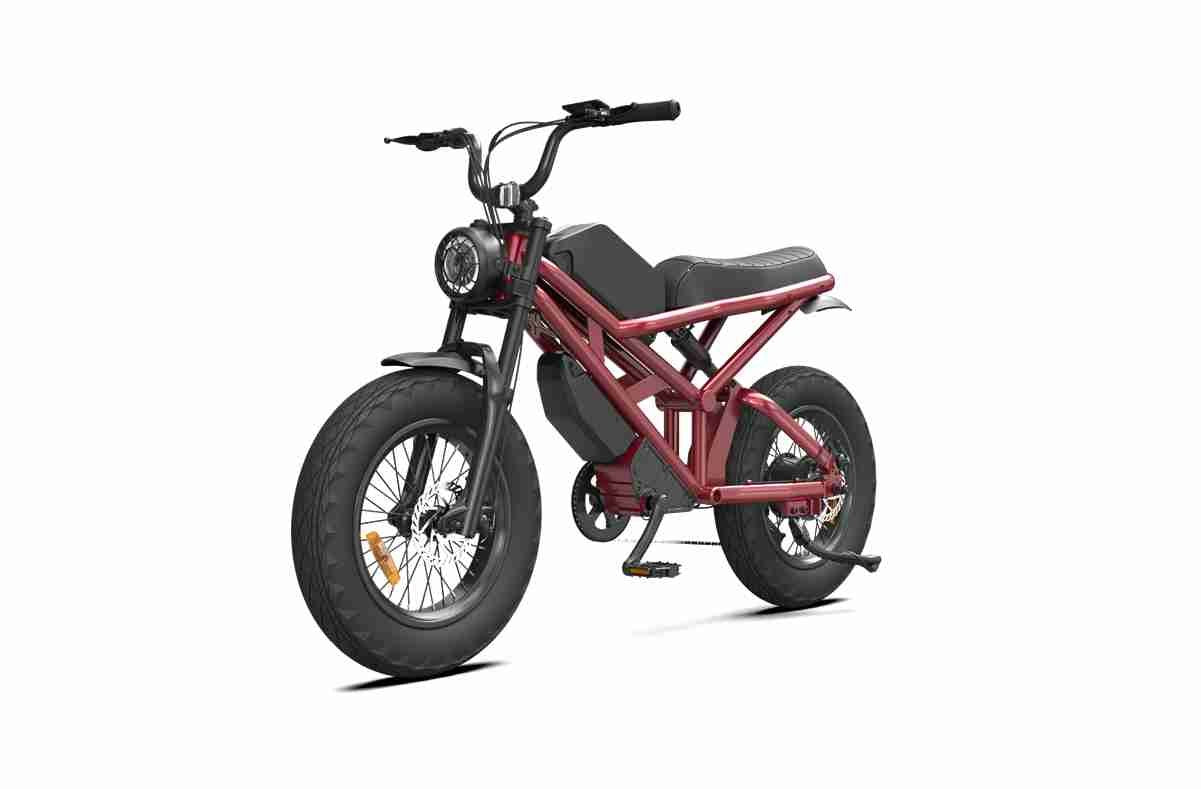 Adult Fat Tire Electric Bike OEM