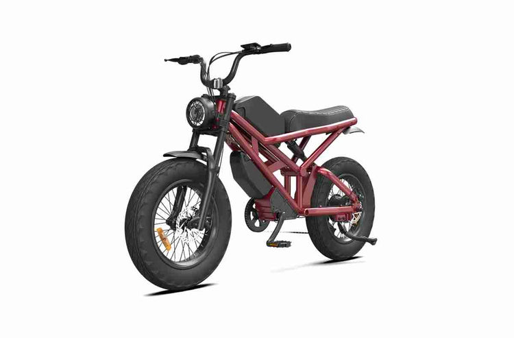 Adult Fat Tire Electric Bike OEM