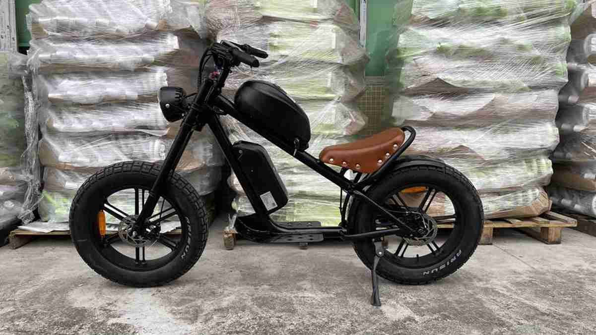 Adult Folding Electric Bike OEM