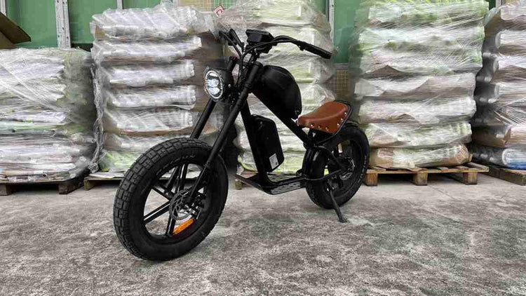 Affordable Fat Tire Electric Bike OEM