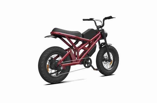 Aluminum Folding Electric Bike OEM