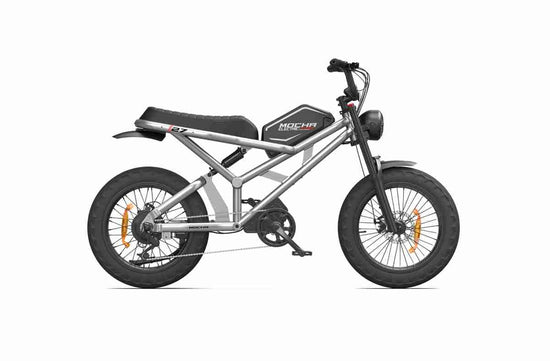 Assassin Electric Dirt Bike OEM