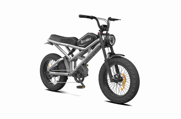 Best Big Tire Electric Bike OEM