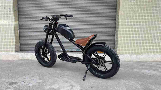 Best Budget Folding Electric Bike OEM