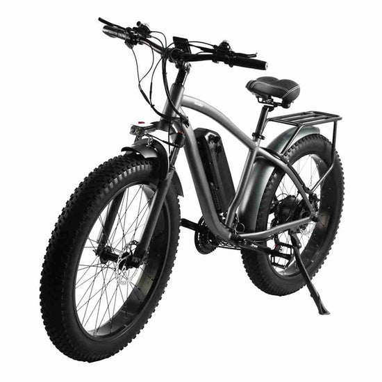 Best E Folding Bike OEM