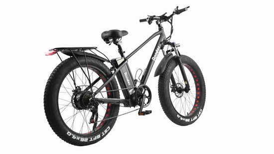 Best Ebike Fat Tire OEM