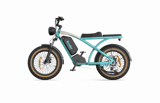 Best Electric Bike With Fat Tires OEM