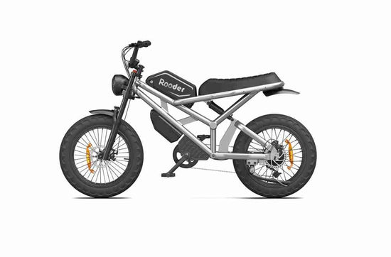 Best Electric Bike OEM