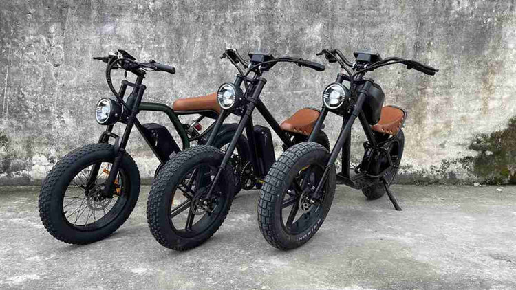 Best Fold Up Electric Bike OEM