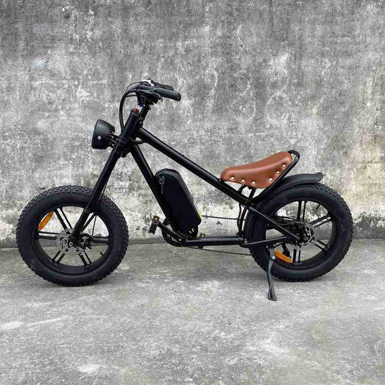 Best Foldable Electric Bicycle OEM