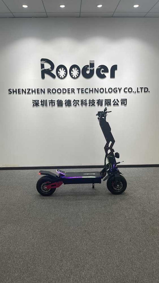 Best Foldable e Scooter OEM