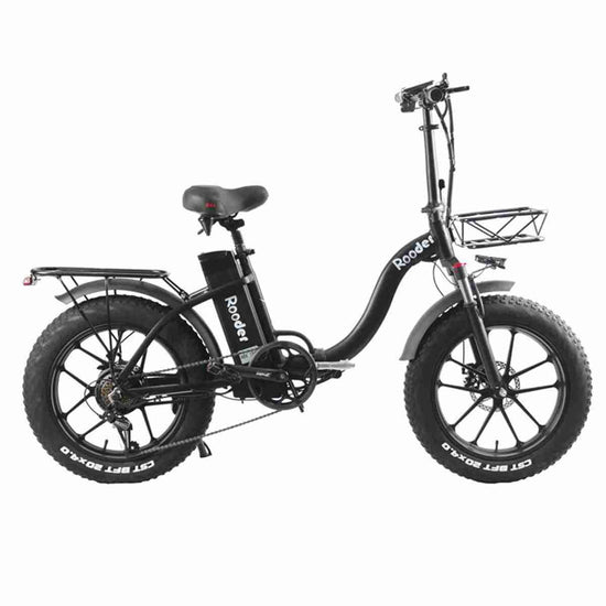 Best Lightweight Electric Folding Bike OEM