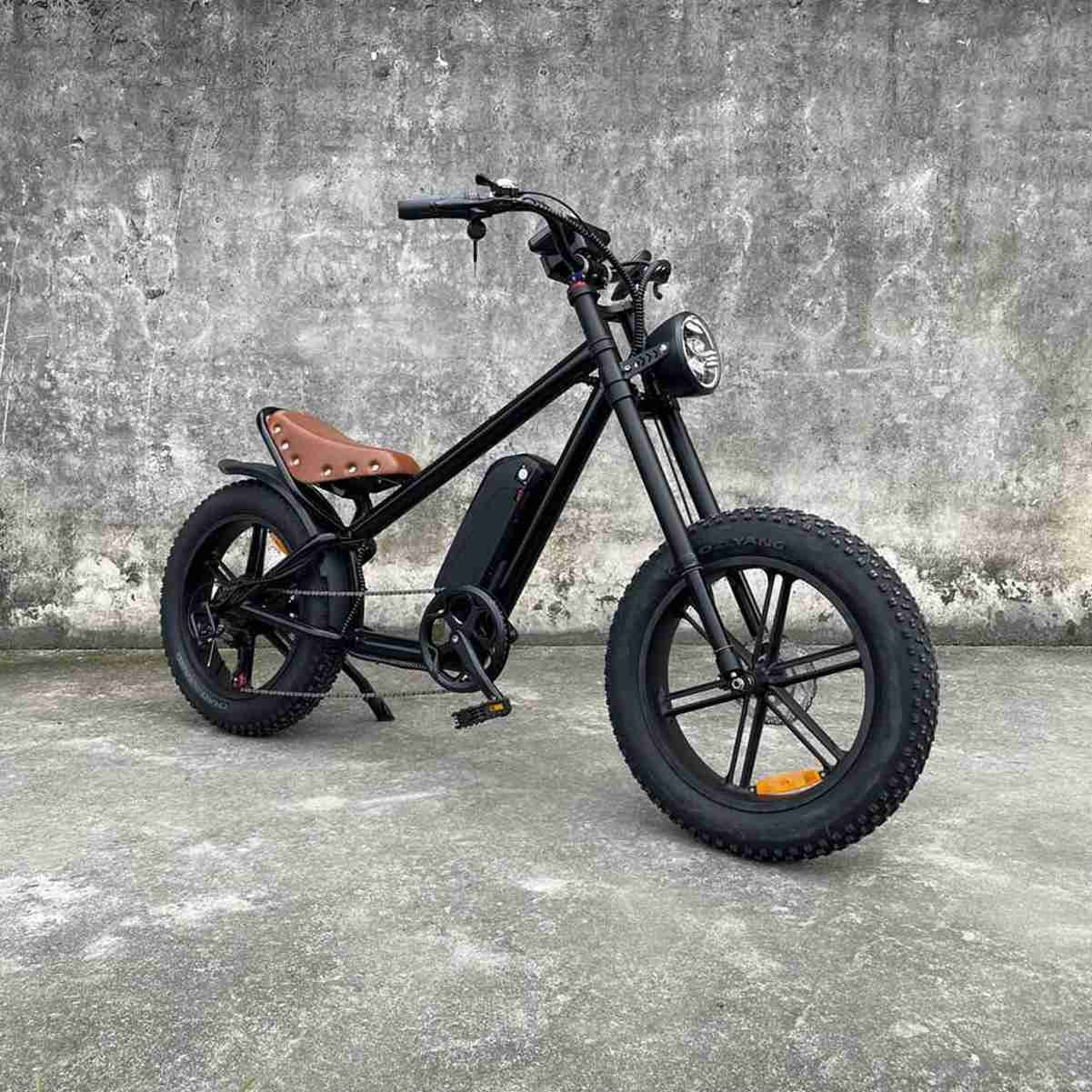 Best Price Folding Electric Bikes OEM