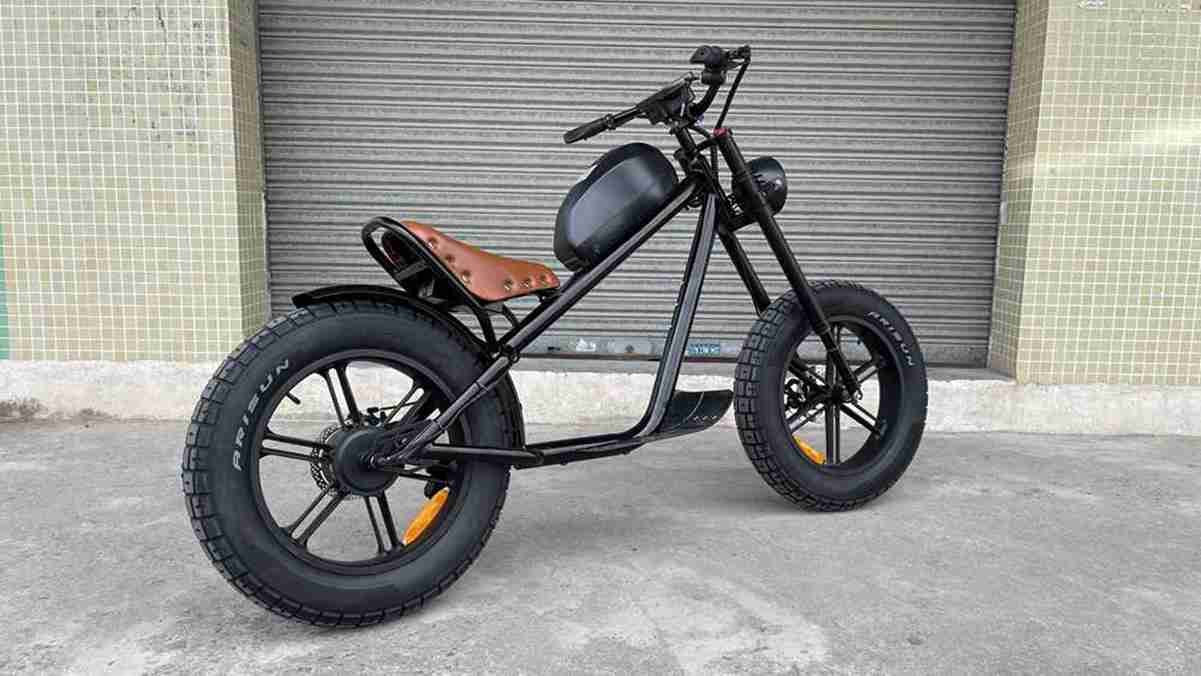 Big Fat Tire Electric Bike OEM