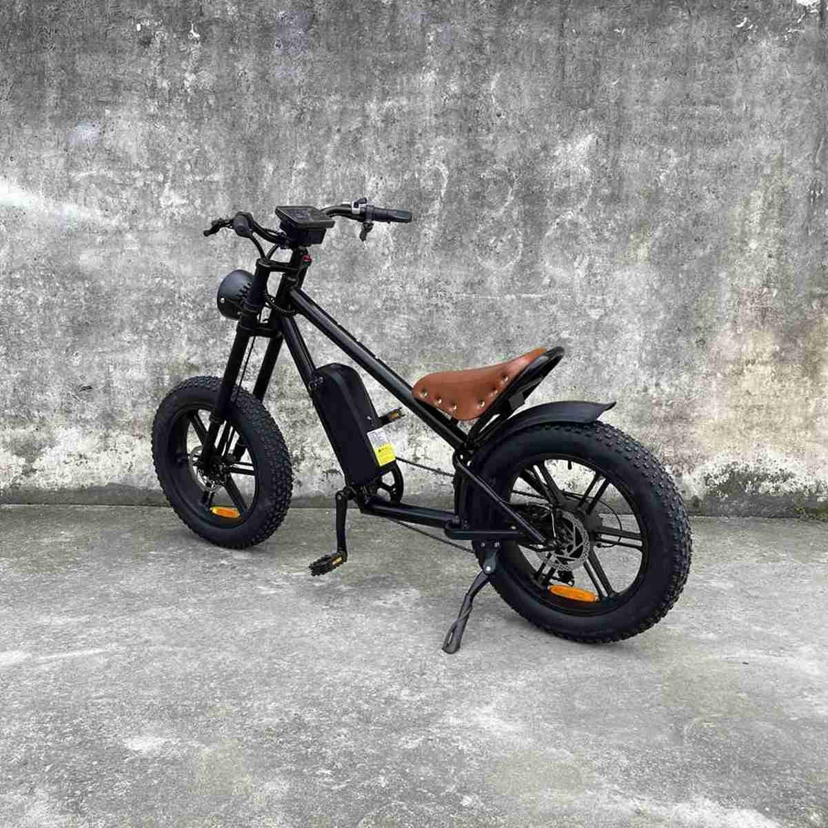 Big Tyre Electric Bike OEM