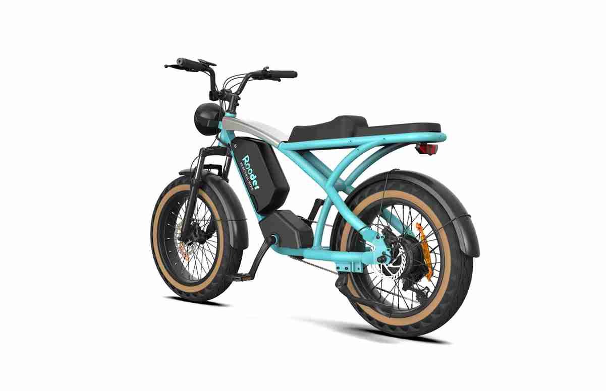 Bike Electric Folding OEM