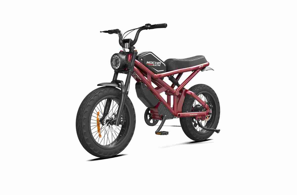 Budget Electric Bike OEM