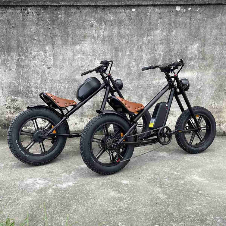 Chinese Electric Bikes Prices OEM