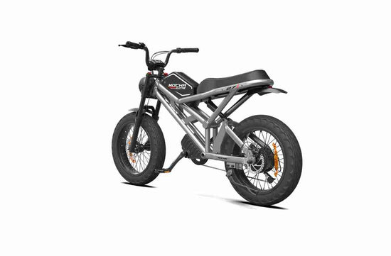 Chinese Folding Electric Bike OEM