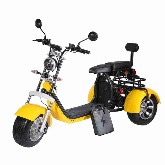 Citycoco Fat Tire Electric Scooter OEM