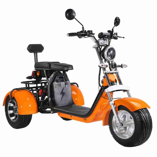 Citycoco Scooter 3000w OEM