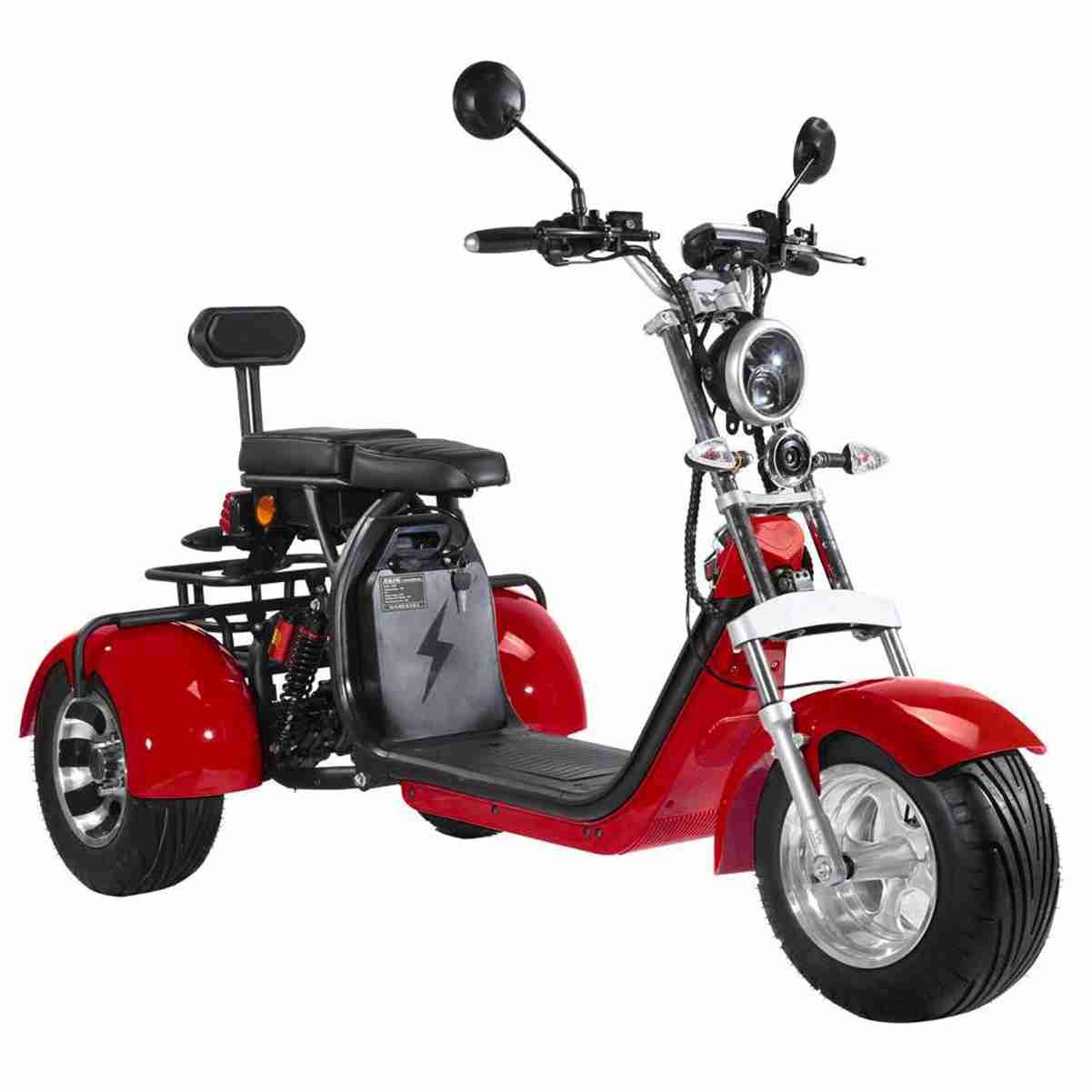 Citycoco Scooter Electrico OEM