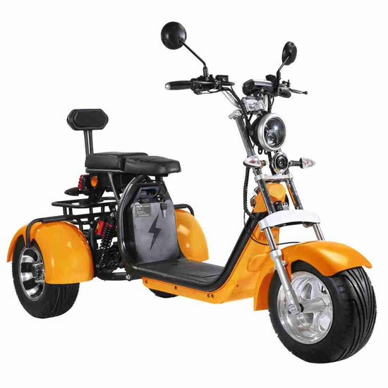 Citycoco Scooter OEM