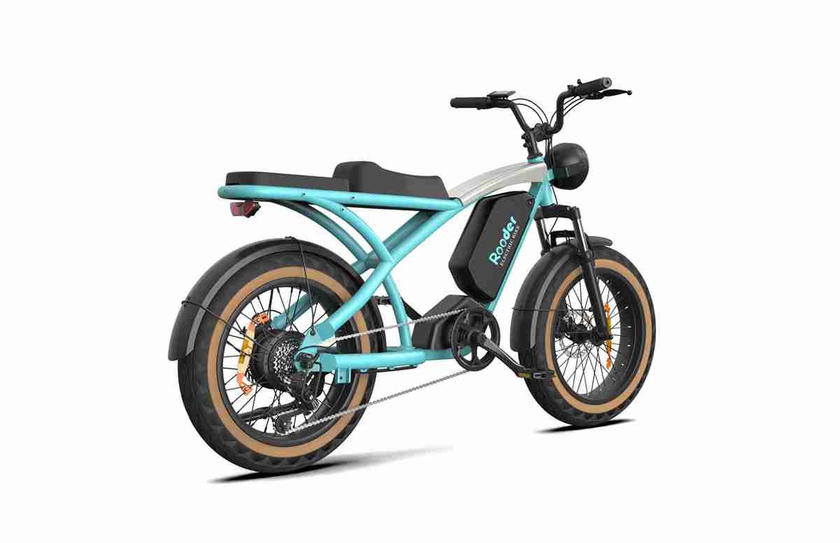 Compact Folding Electric Bike OEM