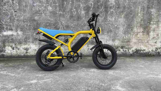 Custom E Bike OEM