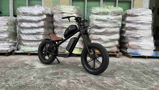 Dirt Bike Electric Adult OEM