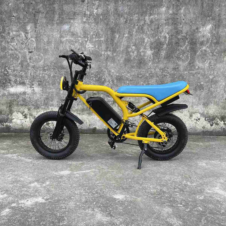 Dirt Bike Style Ebike OEM