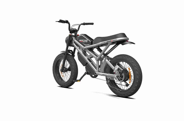 E Bike Folding Bike OEM