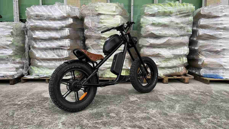 E Cycle Electric Bike OEM