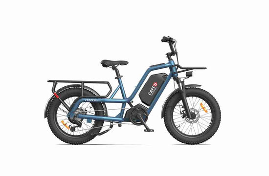 E Fat Tire Bikes OEM