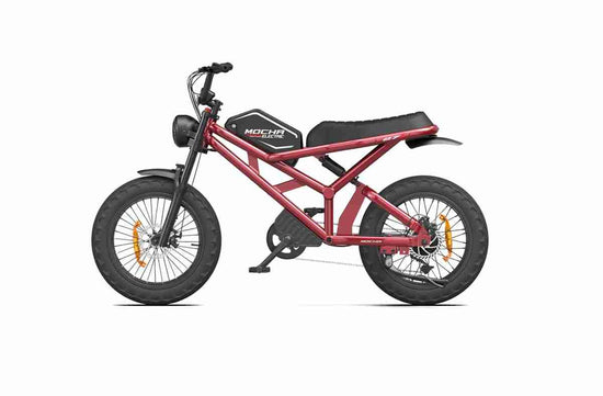 E Fatbike OEM