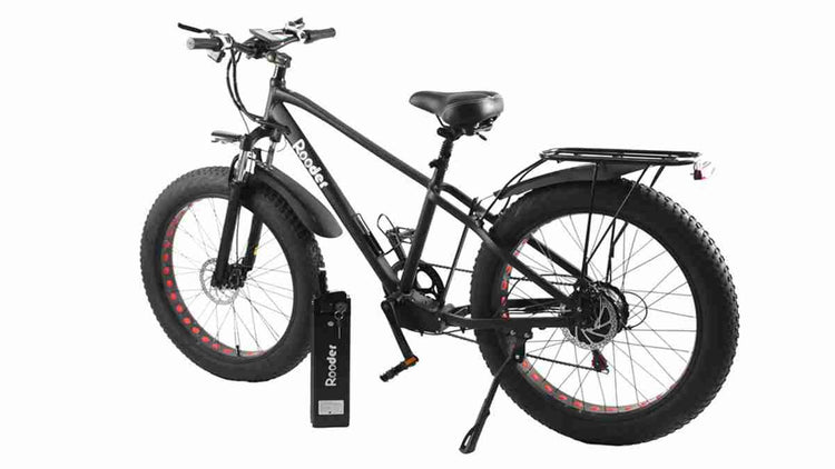 Ebike Design OEM