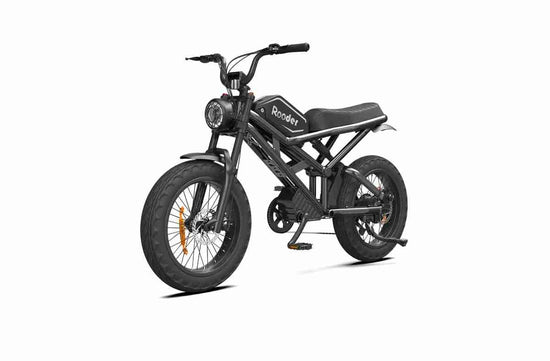 Ebike Fat Bike OEM