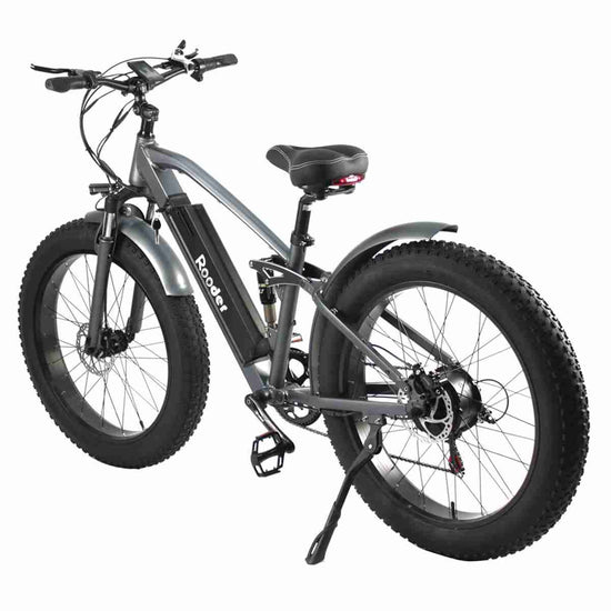 Ebike Fat Tire Bike OEM