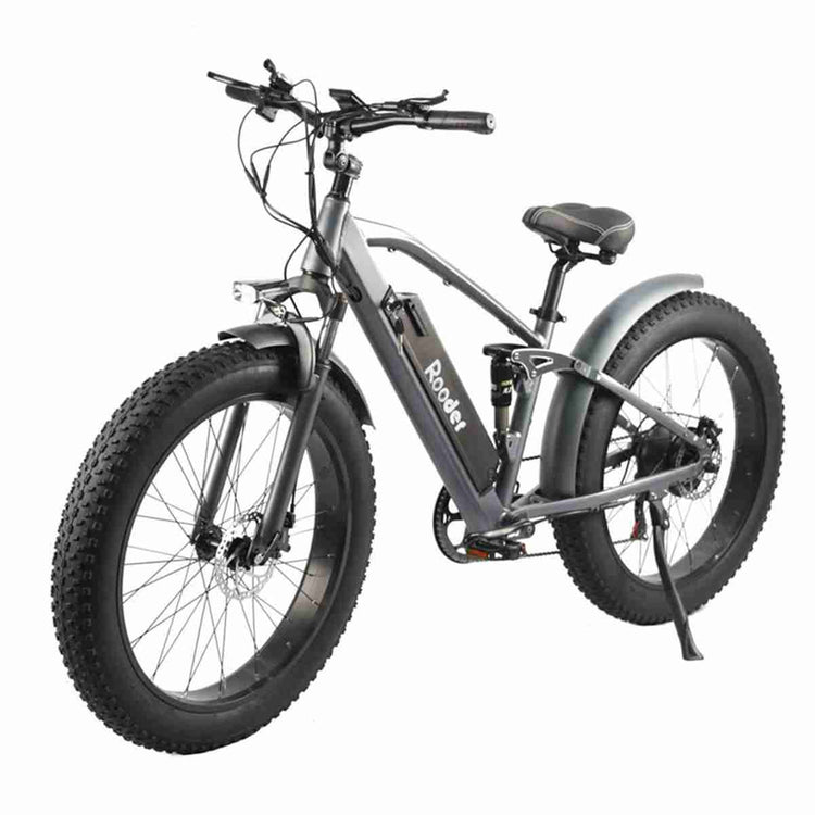 Ebike Scooter OEM