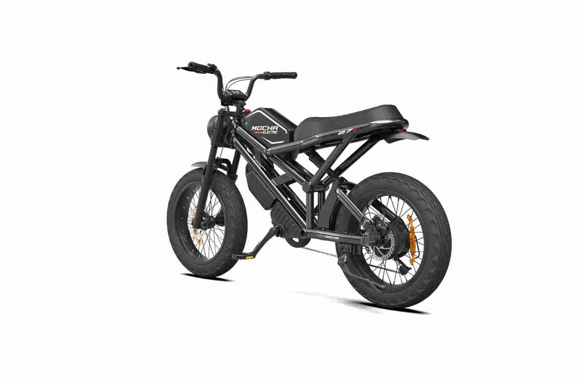 Ebikes Fat Tire OEM