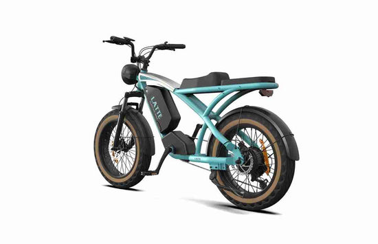 Ebikes Folding OEM