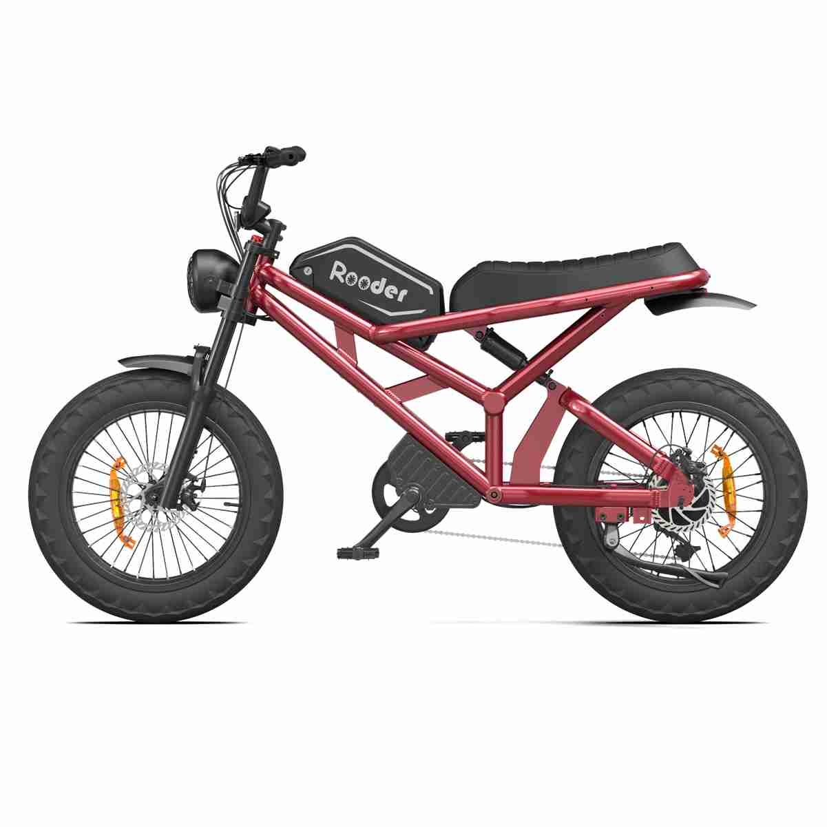 Eco Folding Electric Bike OEM