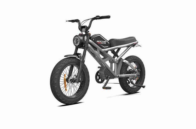 Electr Bike Price OEM